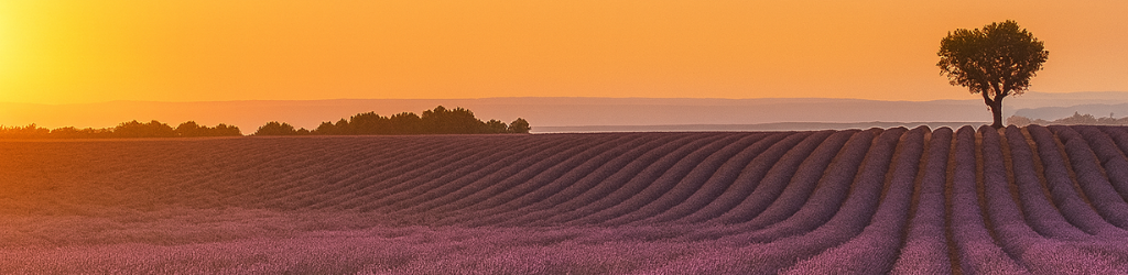 deplacement-gratuit-artisan-provence-cote-azur